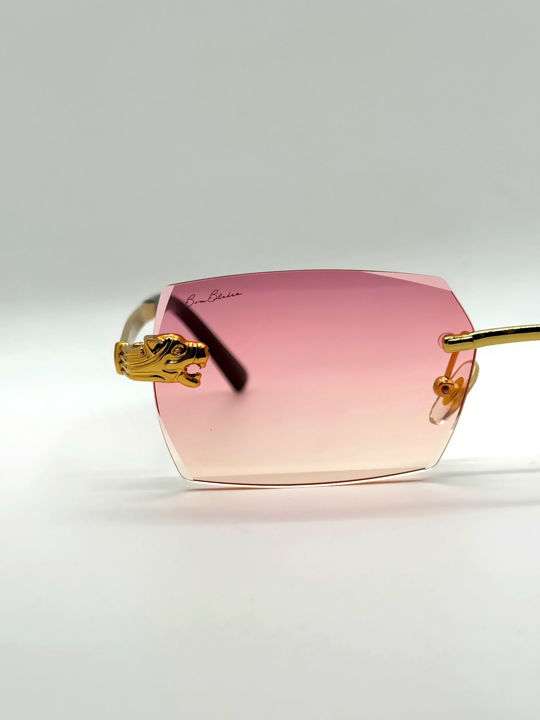 Don Leon Flamingos